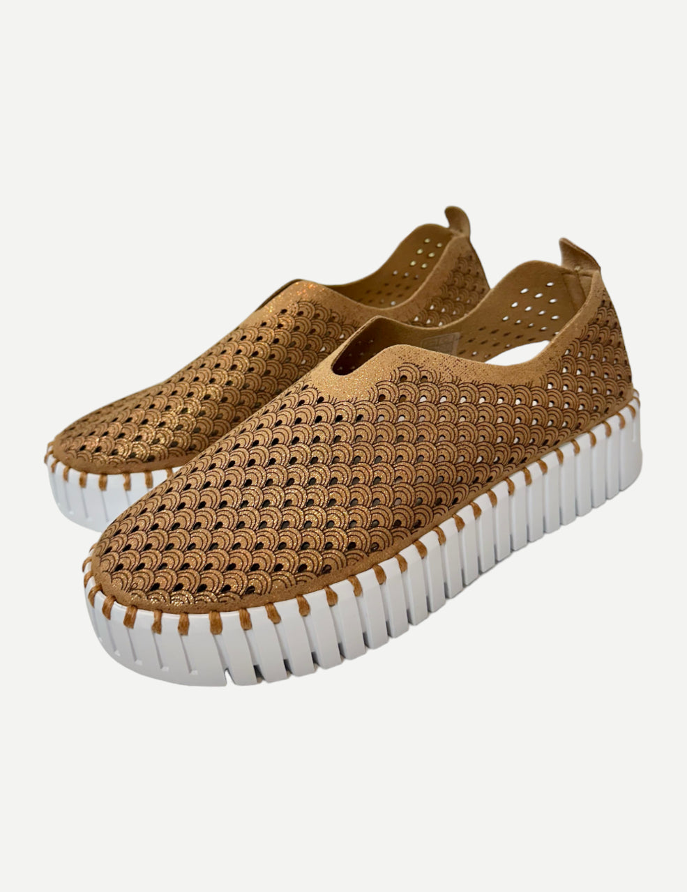 Tulip 0023 Sparkle Platform