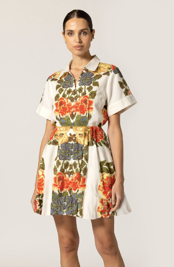 Sadie Mini Dress